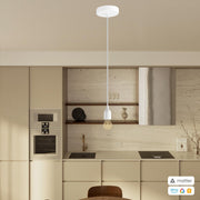 PENDEL CONFIG MATTER 10044